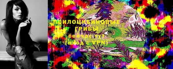 мяу мяу мука Вязьма