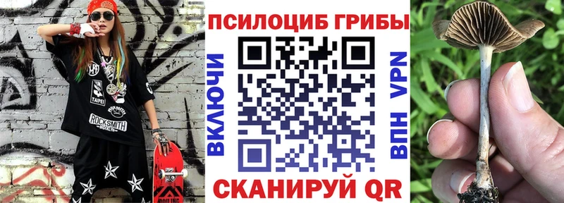 купить   ОМГ ОМГ зеркало  Псилоцибиновые грибы Psilocybe  Зеленокумск 
