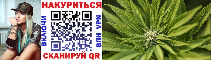 Каннабис сатива  Зеленокумск 
